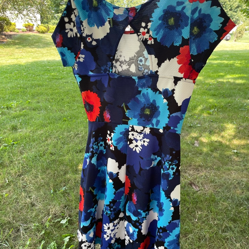 Floral blue and red textured dress